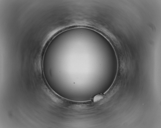 X0000111371272200907101203