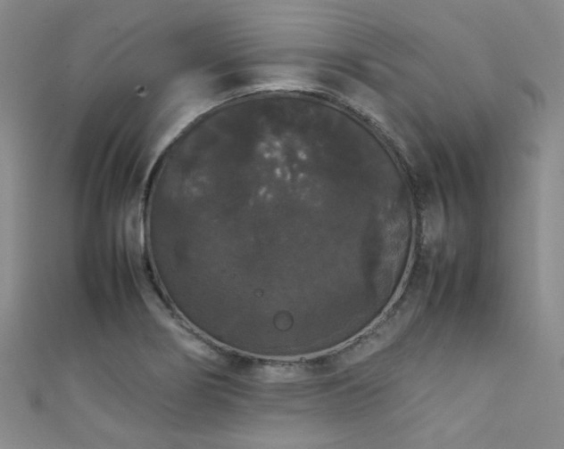 X0000111371274200907101203