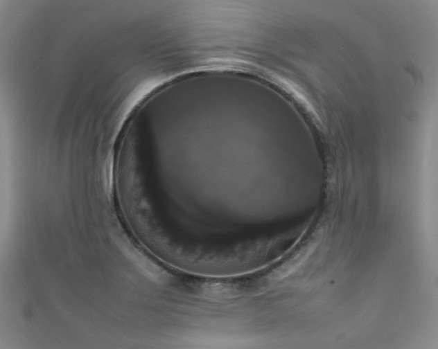 X0000111371275200907101203