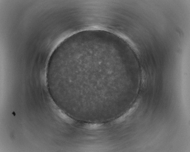 X0000111371278200907101203