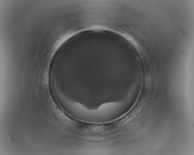 X0000111371279200907101203