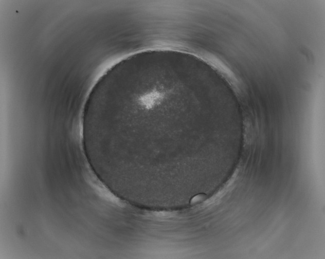 X0000111371280200907101203