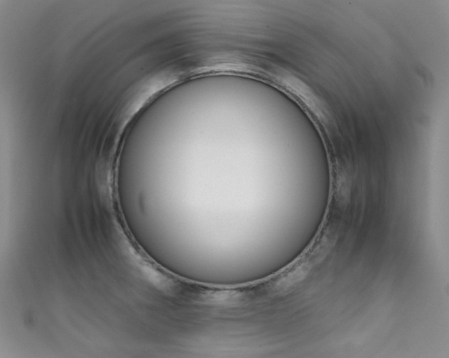 X0000111371282200907101203