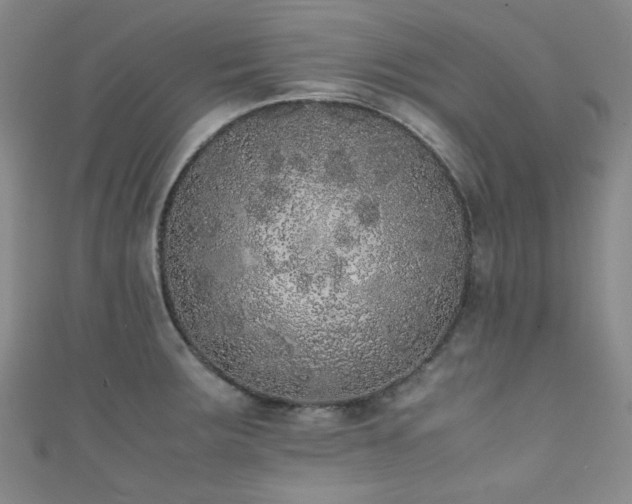 X0000111371283200907101203