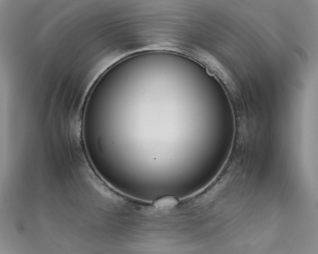 X0000111371284200907101203