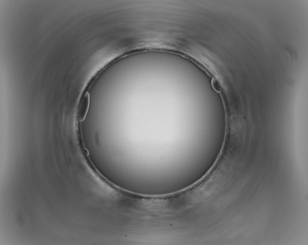 X0000111371285200907101203