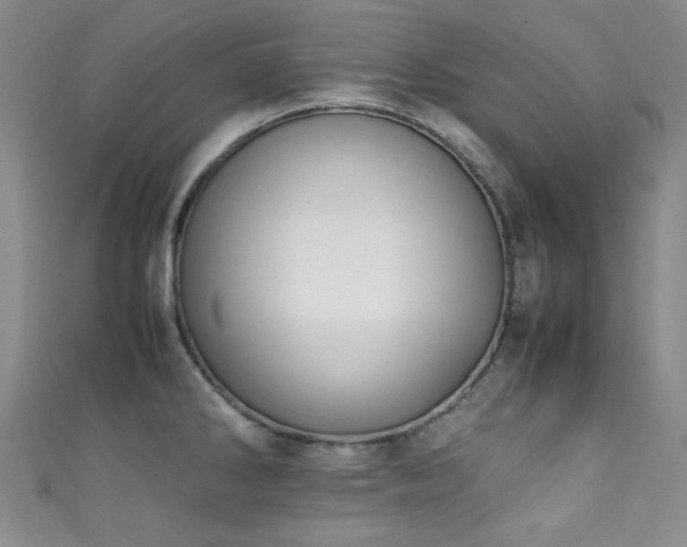 X0000111371286200907101203