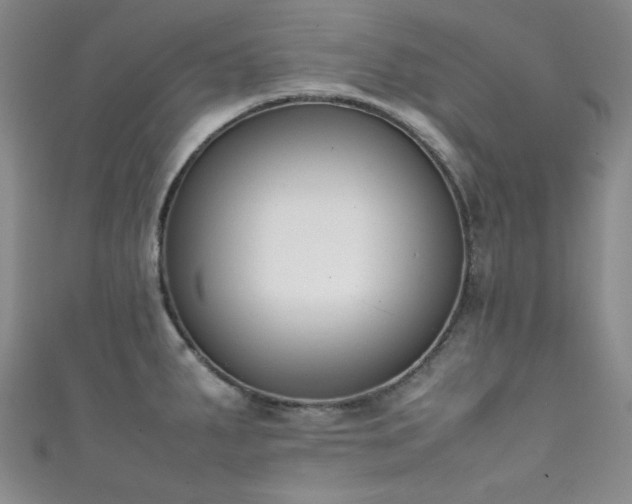 X0000111371287200907101203