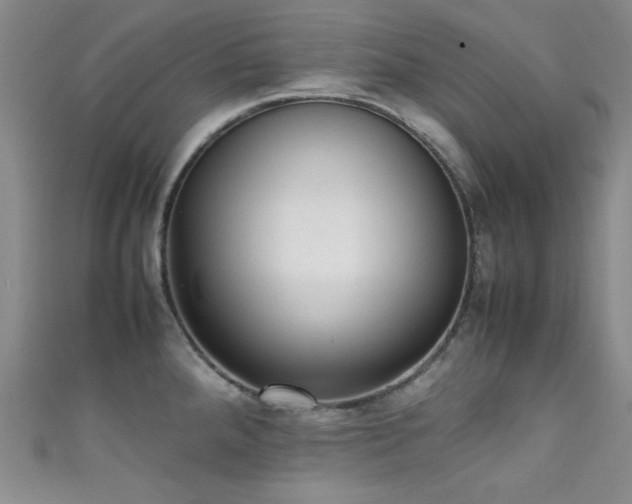 X0000111371288200907101203