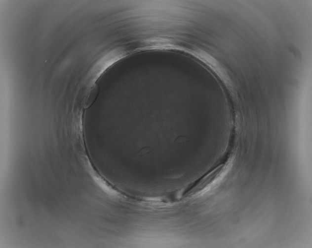 X0000111371289200907101203