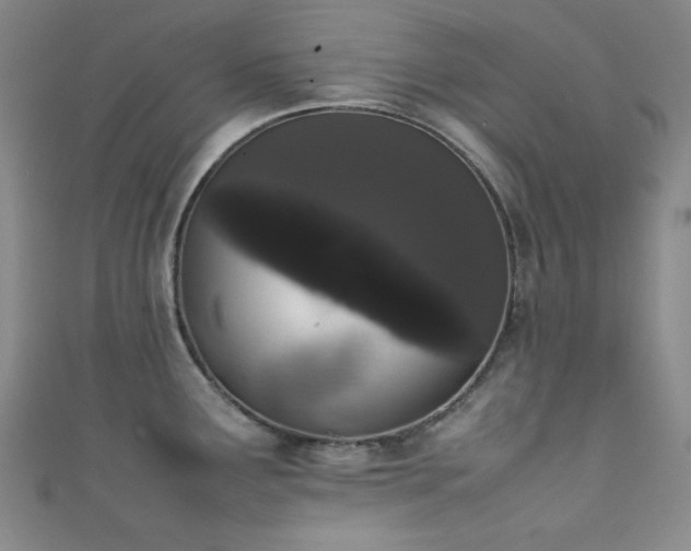 X0000111371291200907101203