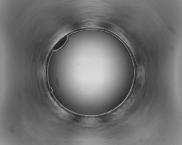 X0000111371293200907101203