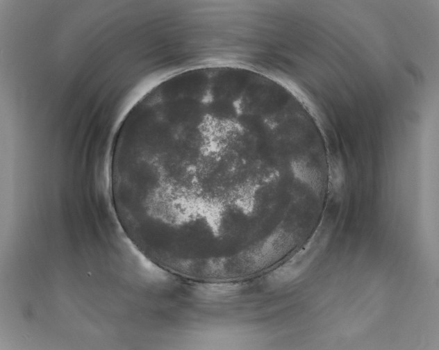 X0000111371294200907101203