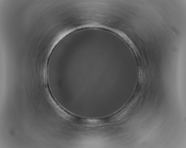 X0000111371295200907101203