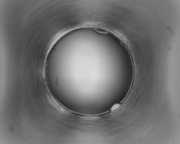X0000111371296200907101203