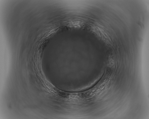 X0000111371297200907101202