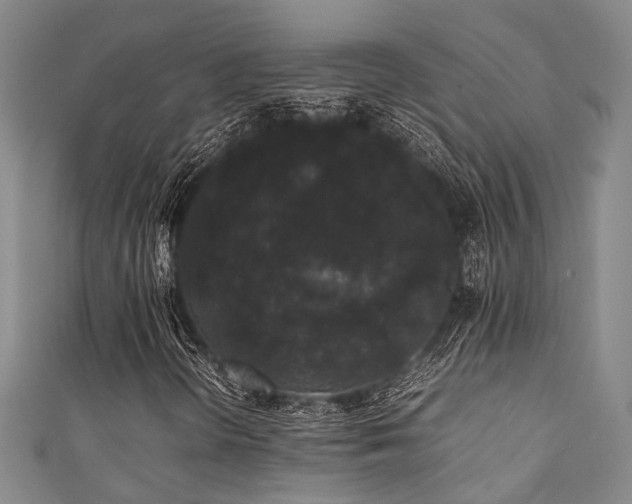 X0000111371298200907101202