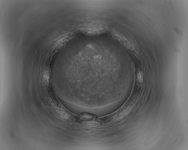X0000111371300200907101202
