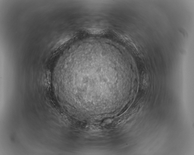 X0000111371301200907101202