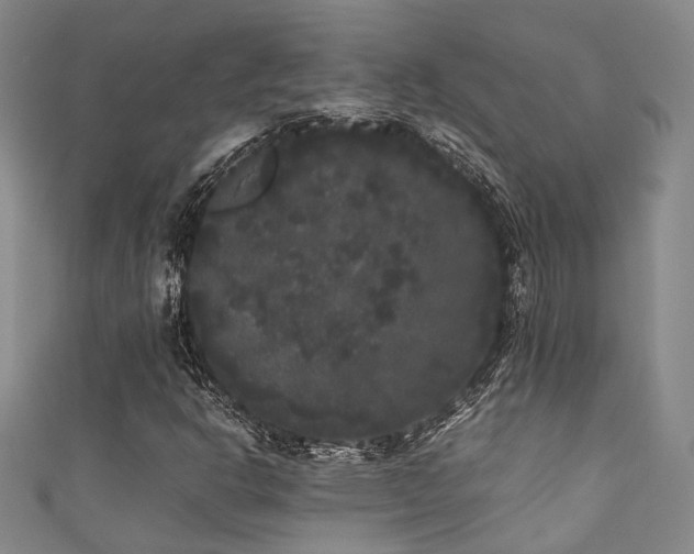 X0000111371302200907101202