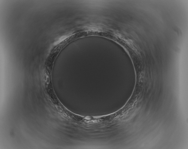 X0000111371303200907101202