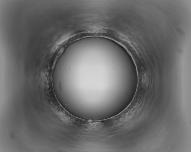 X0000111371304200907101202