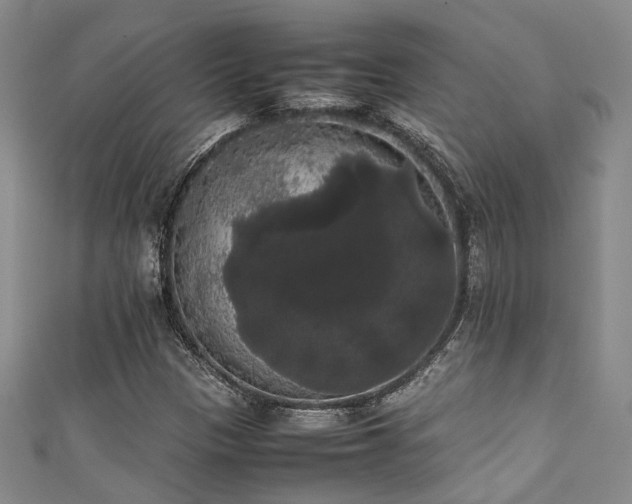 X0000111371305200907101202