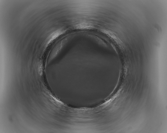 X0000111371306200907101203