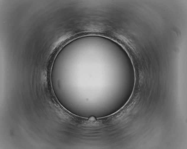 X0000111371307200907101203