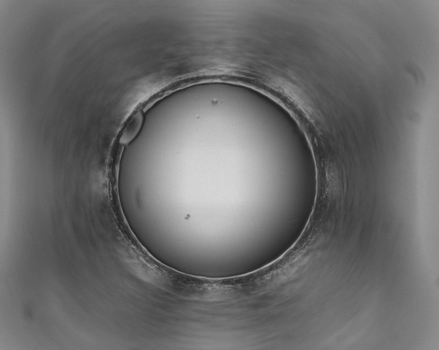 X0000111371308200907101203