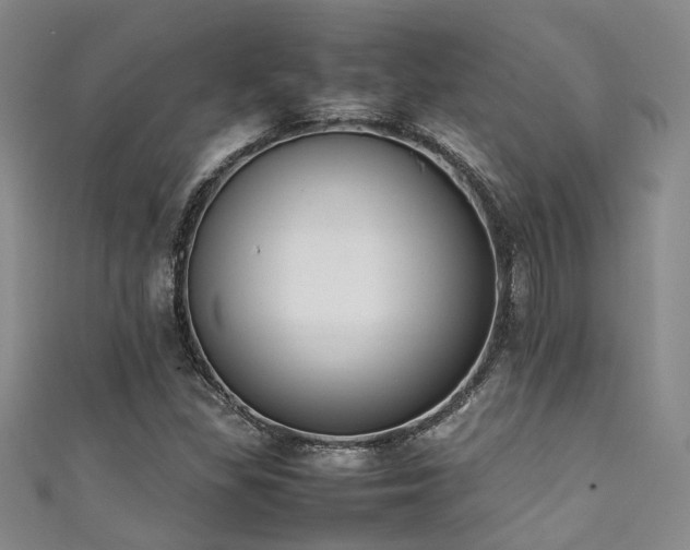 X0000111371309200907101203