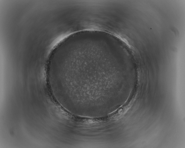 X0000111371311200907101203