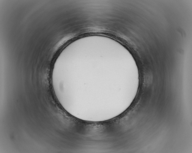 X0000111371314200907101203