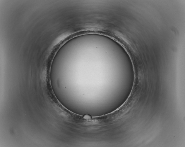 X0000111371315200907101203