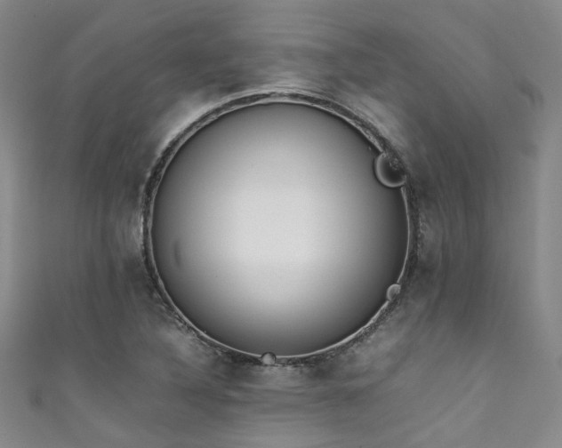 X0000111371316200907101203