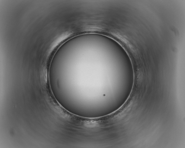 X0000111371317200907101203