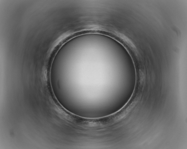 X0000111371318200907101203