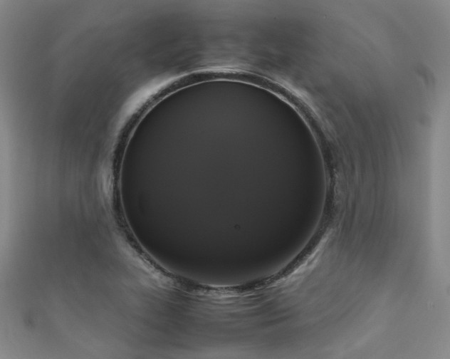 X0000111371319200907101203