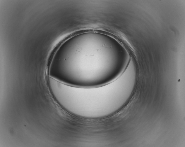 X0000111371320200907101203