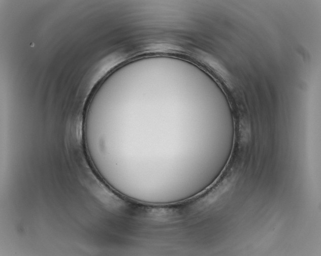 X0000111371322200907101203