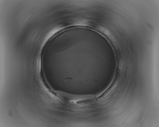 X0000111371323200907101203
