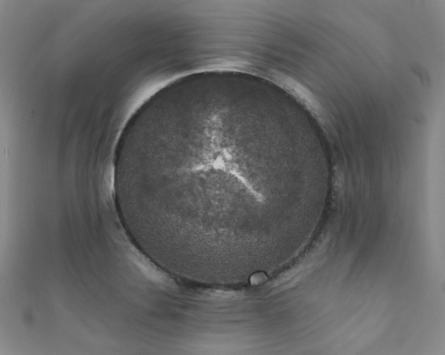 X0000111371324200907101203