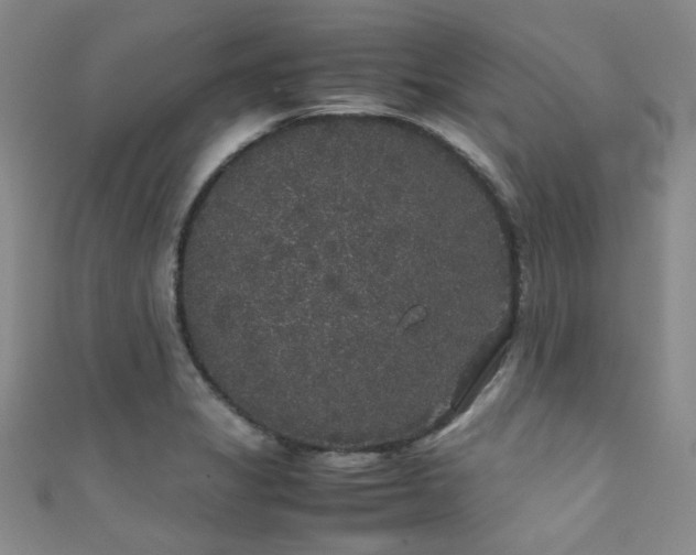 X0000111371325200907101203
