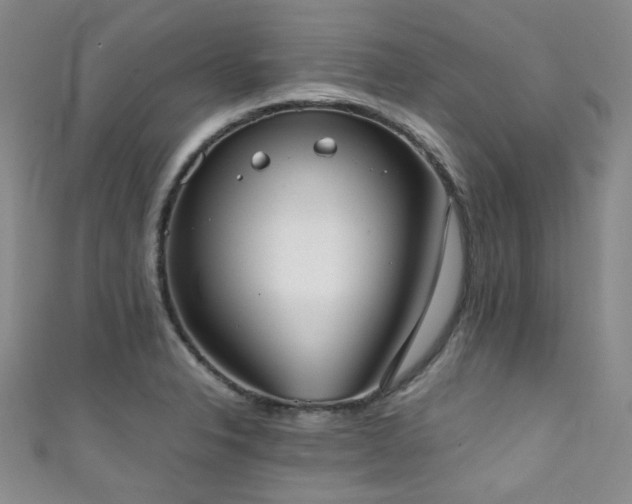 X0000111371326200907101203