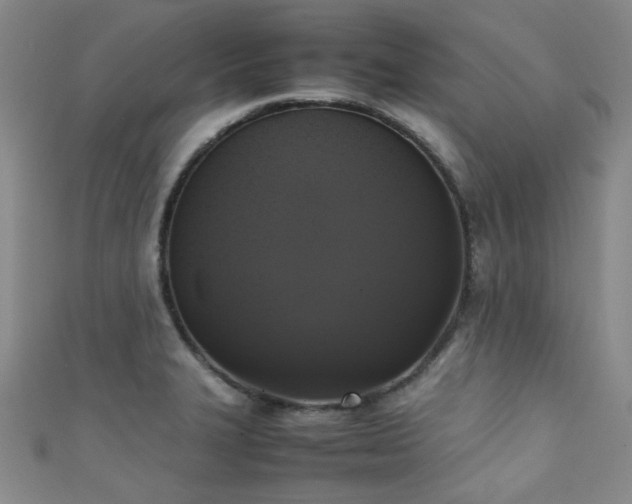X0000111371327200907101203