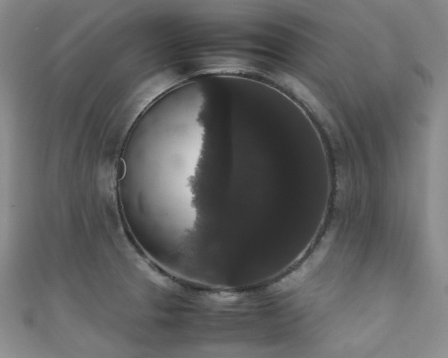 X0000111371329200907101203