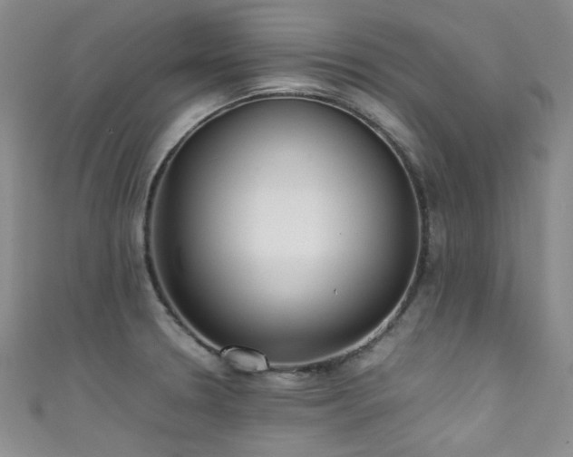 X0000111371330200907101203