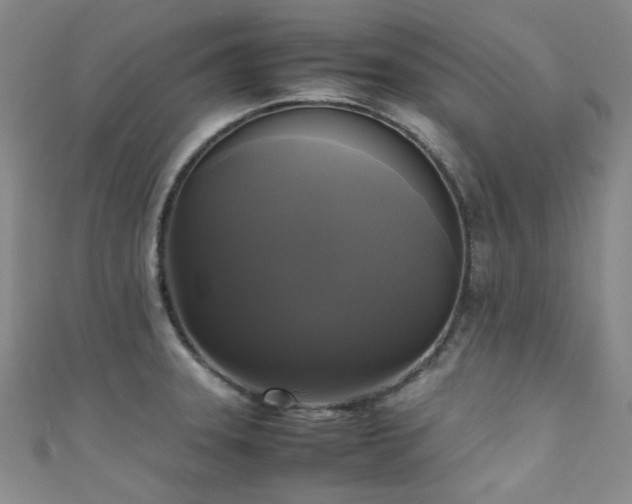 X0000111371331200907101203