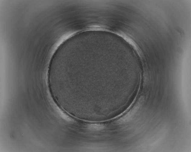X0000111371333200907101203