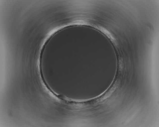 X0000111371334200907101203